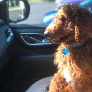 Meet your Posher, Kenneth